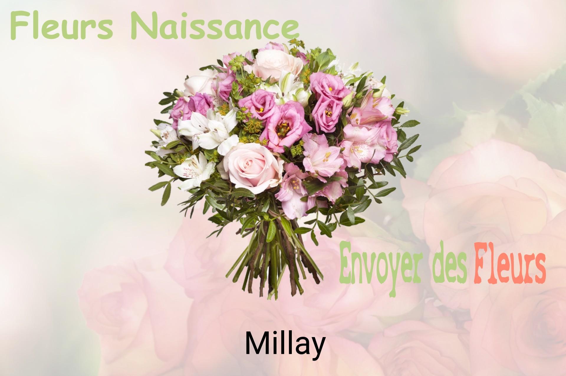 Bouquet de fleurs de naissance livré à Millay