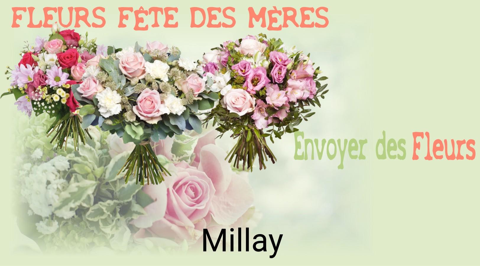 Bouquet de Fête des Mères livré à Millay